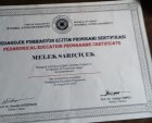 Sertifika2