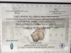Katıldığım Kongrelere Ait ''Katılım Sertifikaları''   1.	Polikistik Over Sendromunda Yeni Gelişmeler, Mezuniyet sonrası eğitim kursu, 8-9 Ekim 1993, Ankara. 2.	XI. Jineko-Patoloji Kongresi, 16-18 Mayıs 1994, Zeynep Kamil Hastanesi, İstanbul. 3.	1. Uluslar