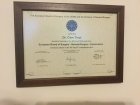 The European Board of Surgery of the UEMS and the Division of General Surgery