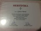 Otizm Ve Otistik çocukların Eğitimi