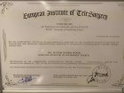 Certificate of Gynecological and Gynecologic Cancer Laparoscopic Approach (IRCAD), Fransa Strassbourg Üniversitesi, 2013