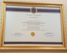 Yüksek lisans 1