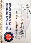 BÜTÜNCÜL PSİKOTERAPİ SÜPERVİZYON