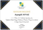 Yetişkin Dikkat Duygu Odaklanma Planlama Programı
