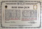 Cinsel Terapi
