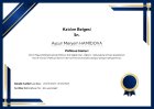 Seminer