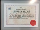 Uzmanlık Belgesi