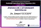 Jinekolojik Laparoskopi Sertifikası