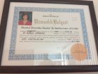 Uzmanlık Belgesi