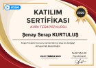 Kupa Terapisi