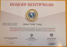 Çocuk ve Ergenlerde Bağımlılık