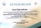 Temel Kabiliyetler Testleri