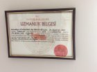 Uzmanlık Belgesi