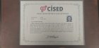 CİSED 2