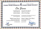 Yüksek lisans