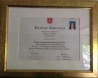 Lisans Diplaması