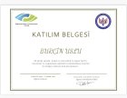 Act/Kabul ve Kararlılık Terapisi