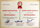Psikodinamik Bütüncül Terapi
