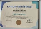 Sertifika