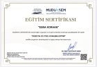 Sertifika