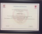 ECES Level 1