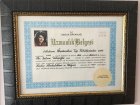 Uzmanlık Belgesi