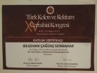 Sertifika