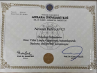 Lisans Diploması