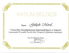 Cinsel İşlev Bozukluklarının Değerlendirilmesi Ve Tedavisi