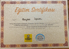 5.Kariyer Programı