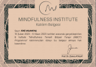 Mindfulness Temelli Bilişsel Terapi