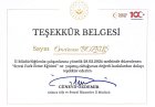 Sertifika
