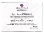Aile ve Evlilik Terapisi 2. Düzey