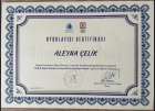 TSSB Dikkat Eksikliği ve Hiperaktivite Bozukluğu Terapisi