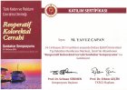 Reoperatif Kolokrektal Cerrahi