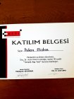 Tematik algı testi