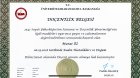 Doçentlik