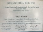 Laparoskopik Fıtık Cerrahisi