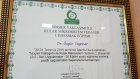 KULAK AKUPUNKTURU