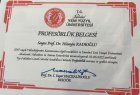 Profesörlük Belgesi
