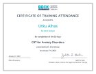Beck Institute Anksiyete Bozukluklarında CBT Workshop