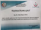 Zeytin dalı harekatı
