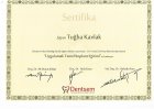 Uygulamalı Temel İmplant Eğitimi