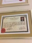 Tıp Doktoru Diploması