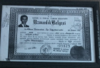 Uzmanlık Belgesi