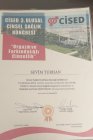 CİSED
