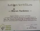 Kriz, Yas, Travma ve İntihara Yaklaşım Eğitimi