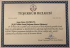 Sertifika