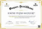 Sertifika