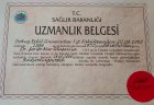 Ş